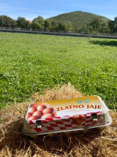 Slika Svježa jaja iz podnog uzgoja A klasa, razred M 10/1